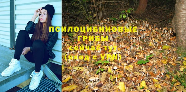 амфетамин Липки