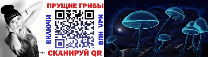 Галлюциногенные грибы мицелий  Шумиха 